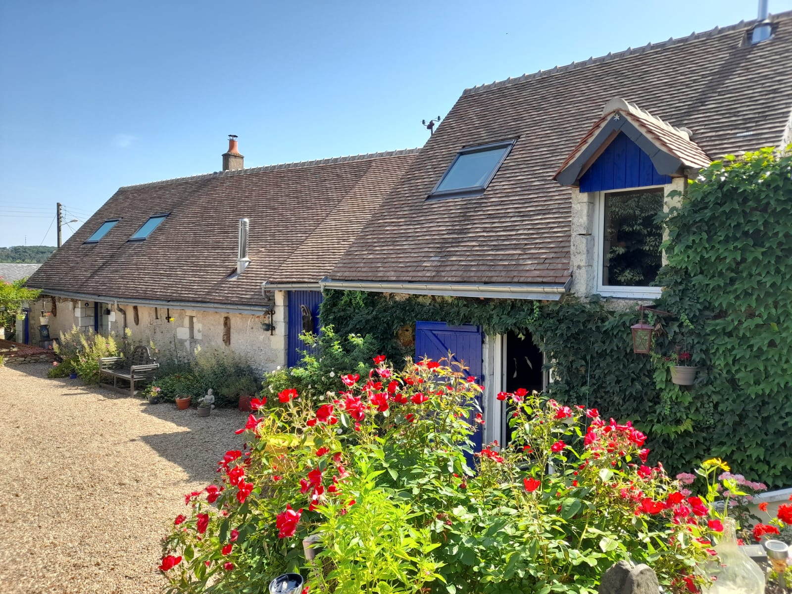 Photo du gîte